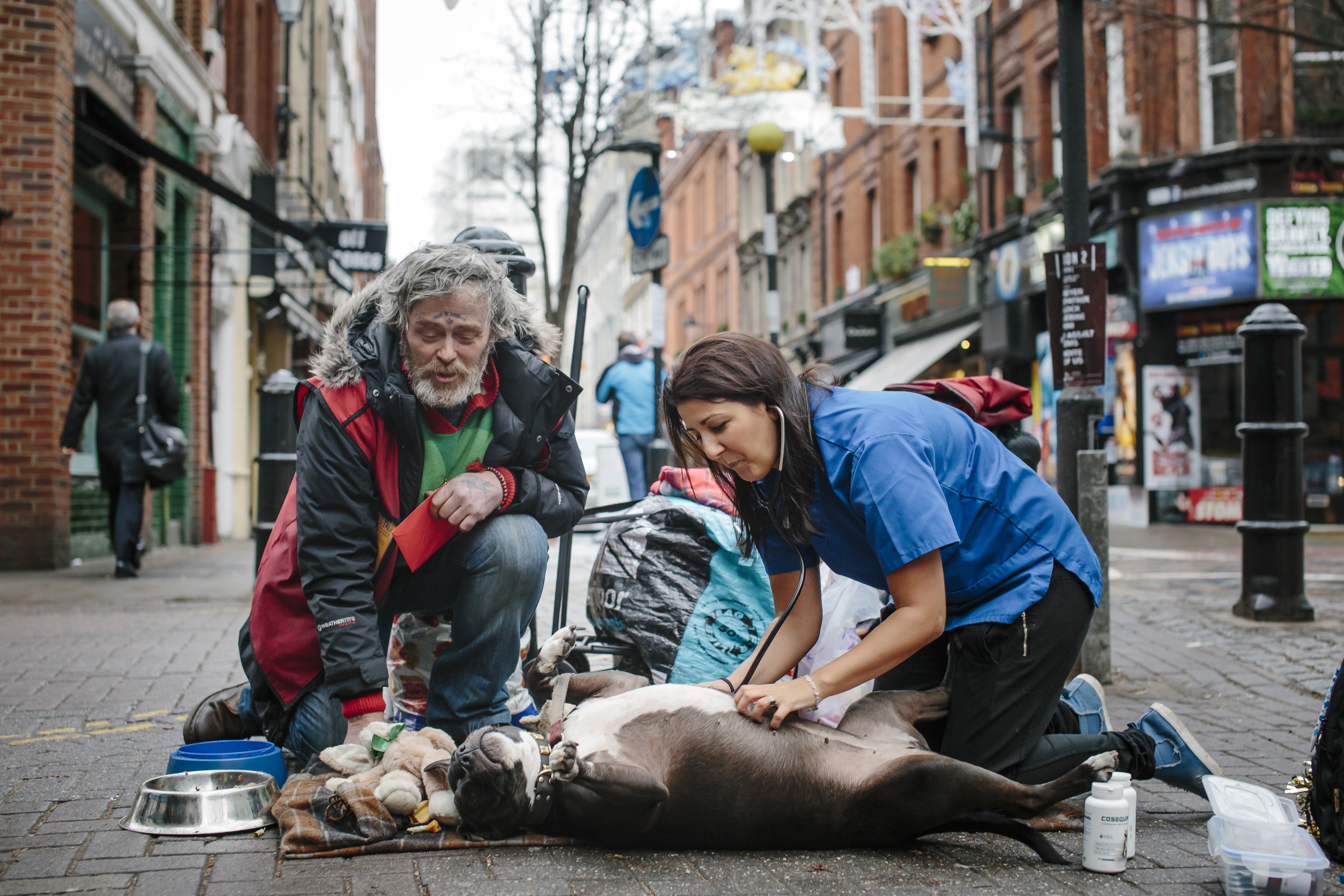 street vet checks Lola's tummy