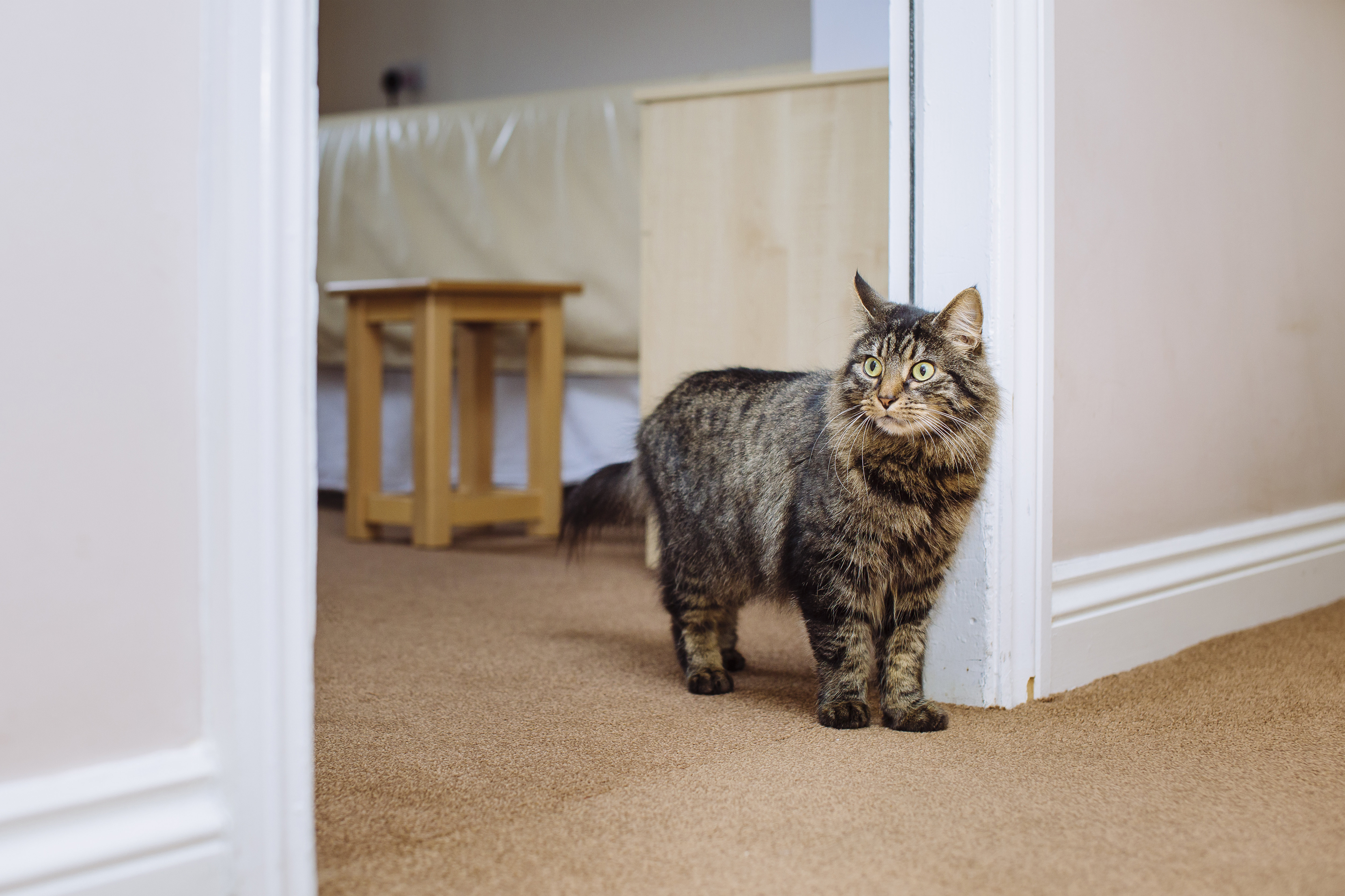 Libby makes her way around the residents' bedrooms to say hello