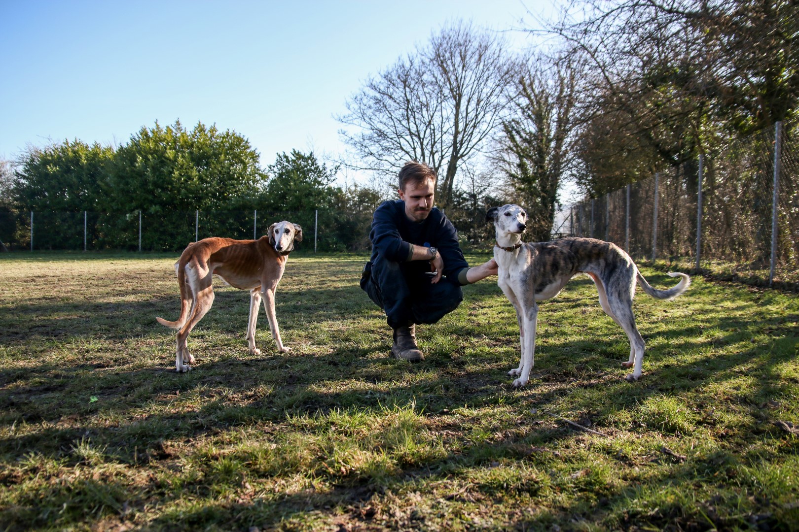 Max and Bella outdoors at our rehoming centre with Apprentice Animal Welfare Assistant Daniel Cairney