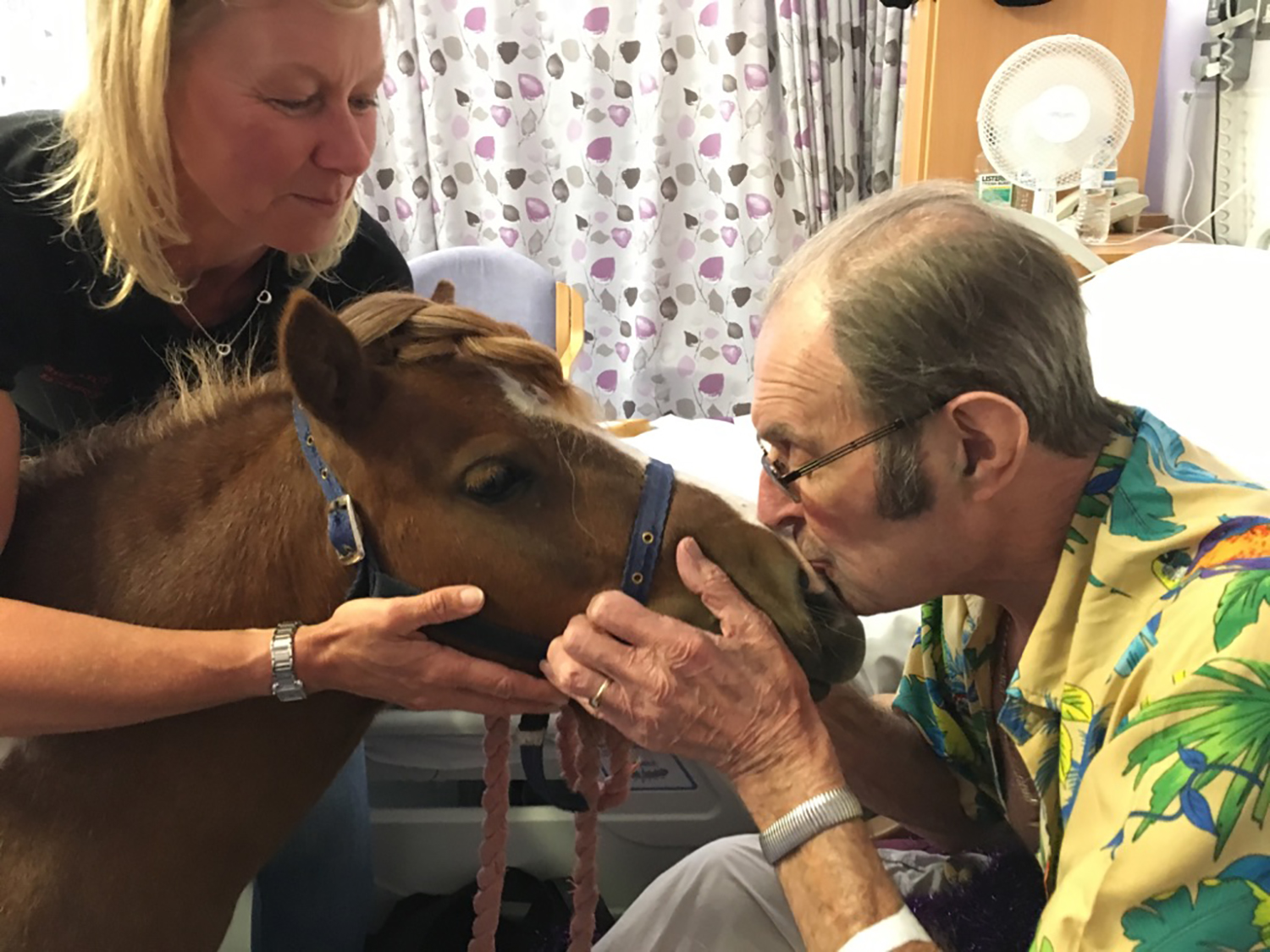 A patient kissing Maggie on the nose