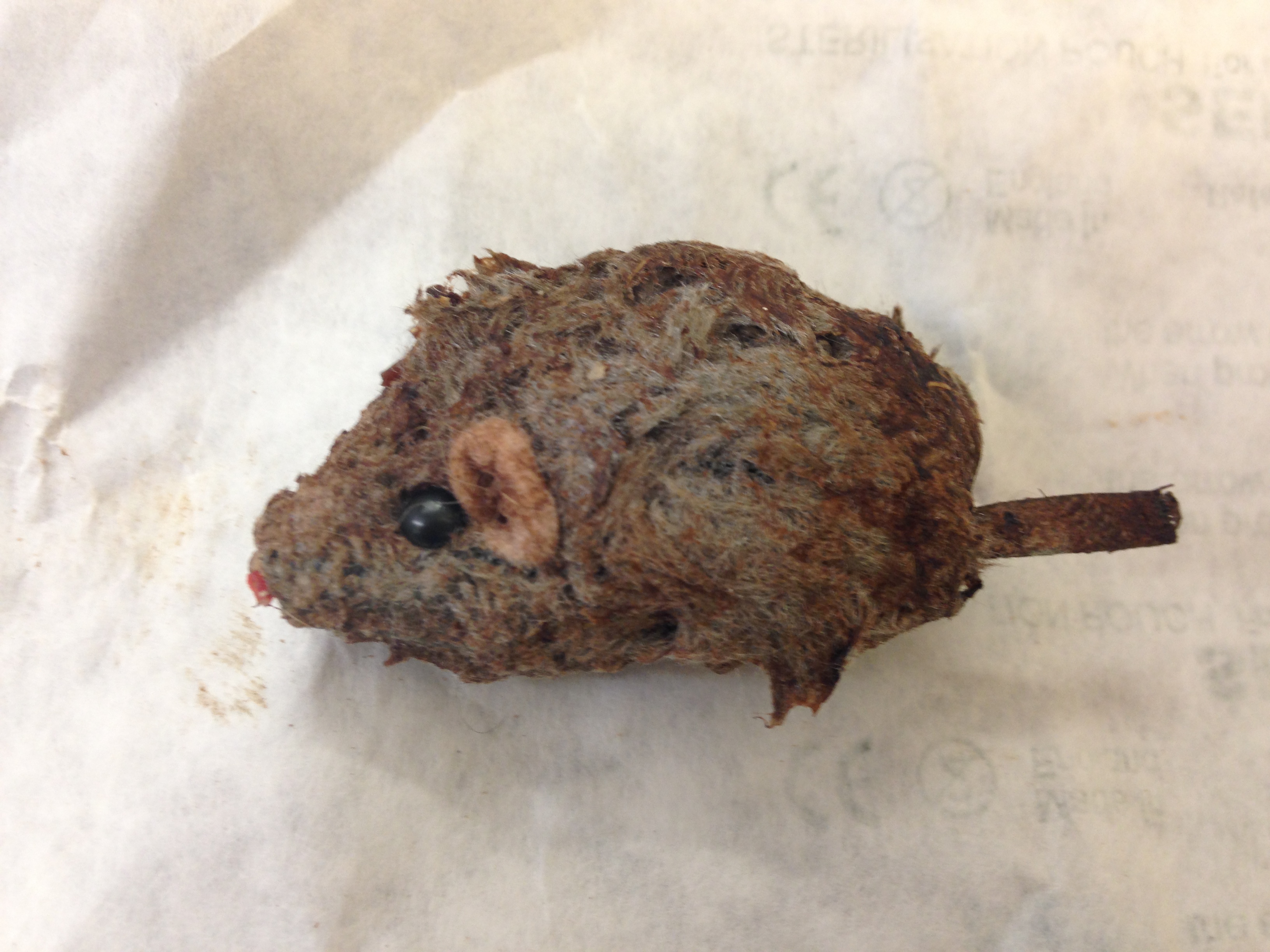 Mouse toy eaten by dog Elmo
