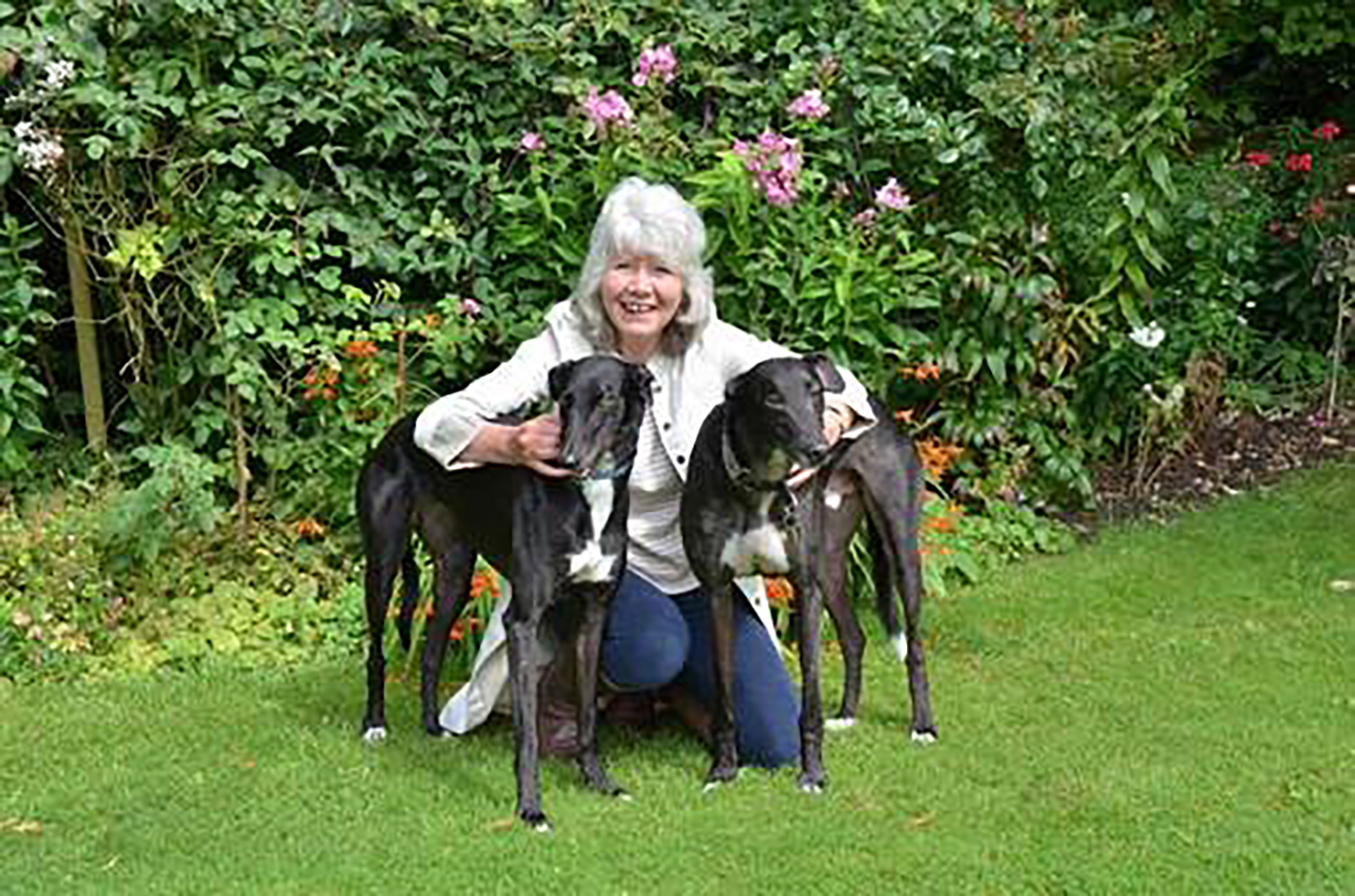 Jilly Cooper with two black greyhounds, Bluebell and Feather. The three are in a garden.