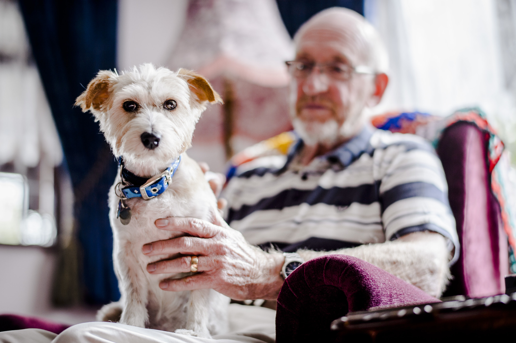 Flora sits on new owner Mike Elliston's lap