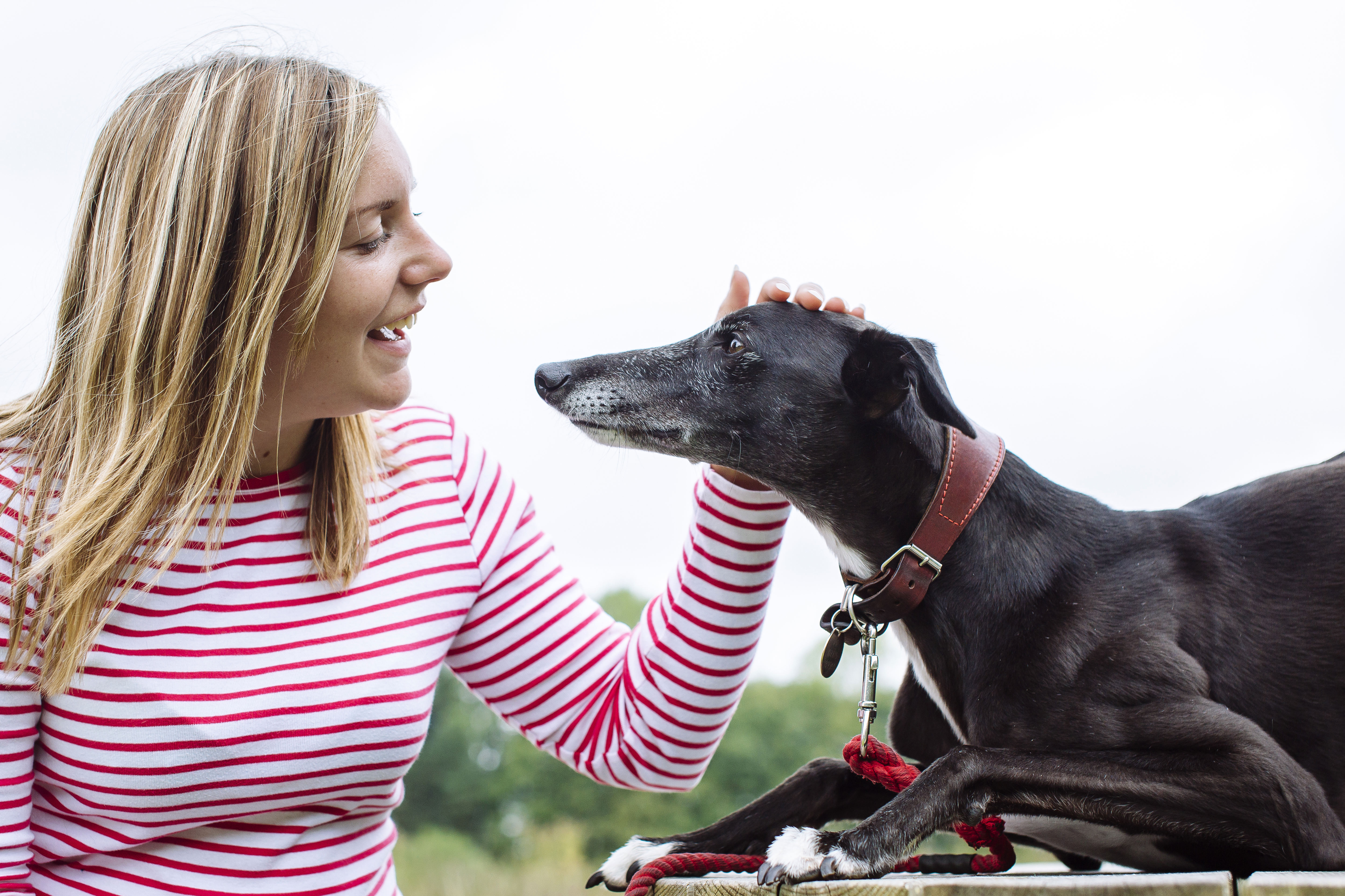 Lurcher Pip smiles at owner Stacey, who smiles back