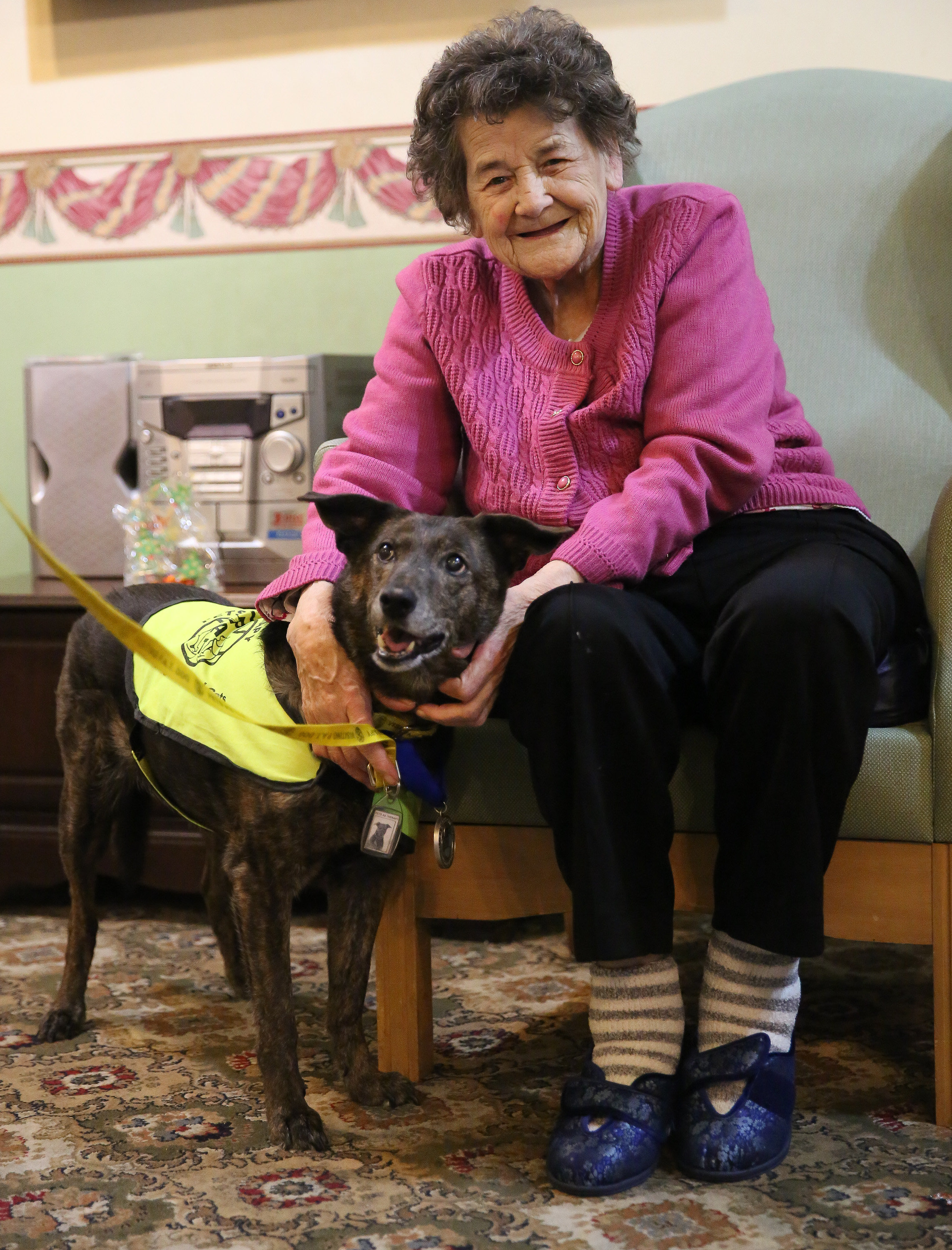Dog Bonnie enjoys meeting a resident in a care home