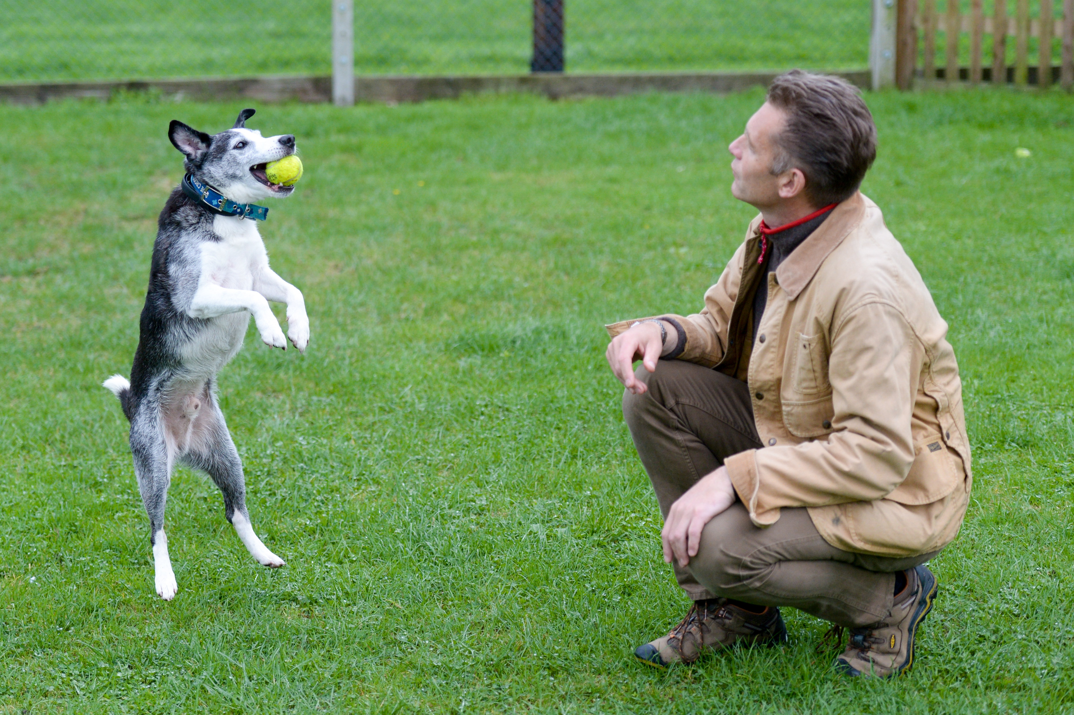 Dog Buster and Chris Packham play ball
