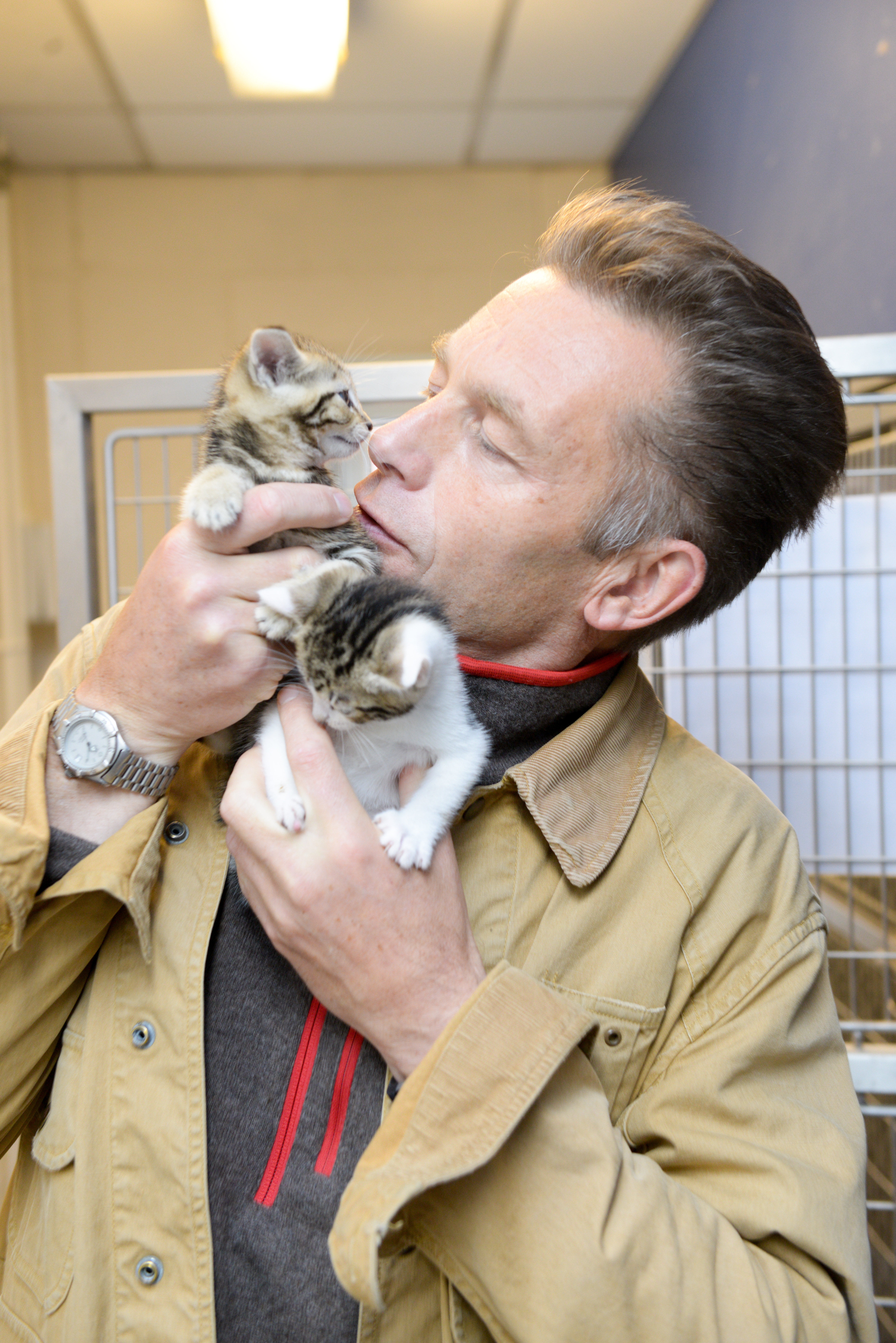 Chris Packham meets some kittens