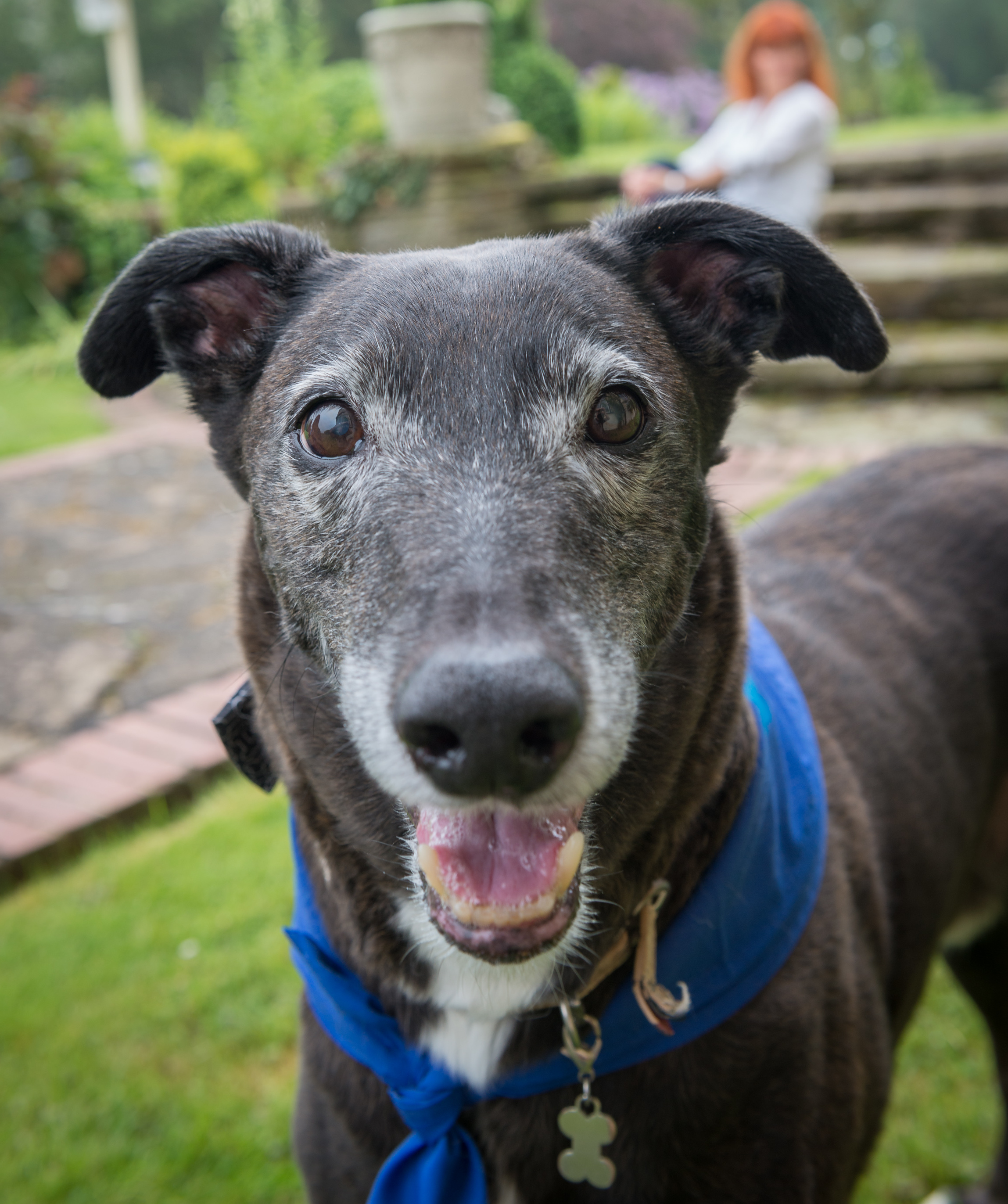 Spike smiles at the camera