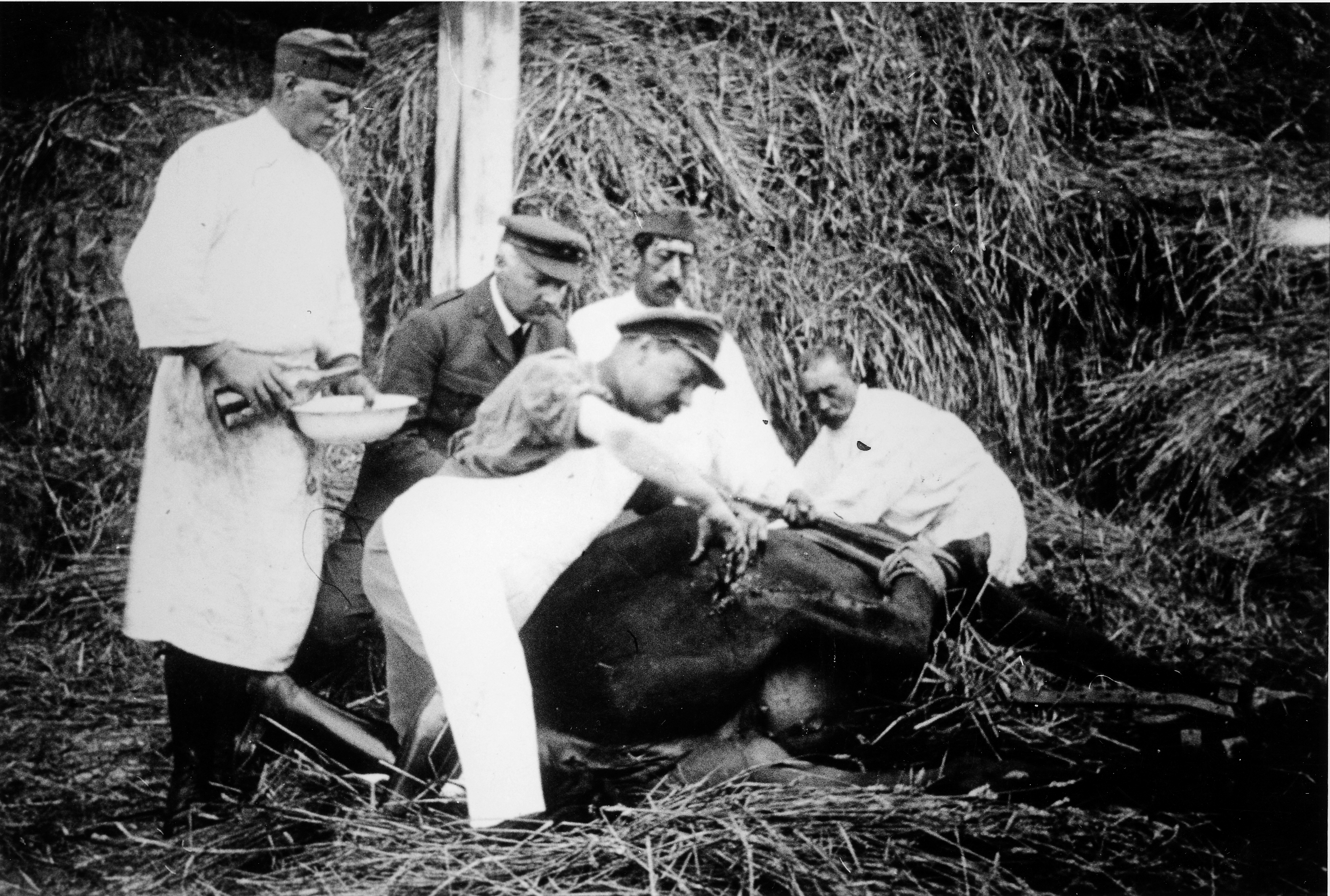 A Blue Cross vet, three assistants and a soldier operate on a horse in field conditions during the First World War