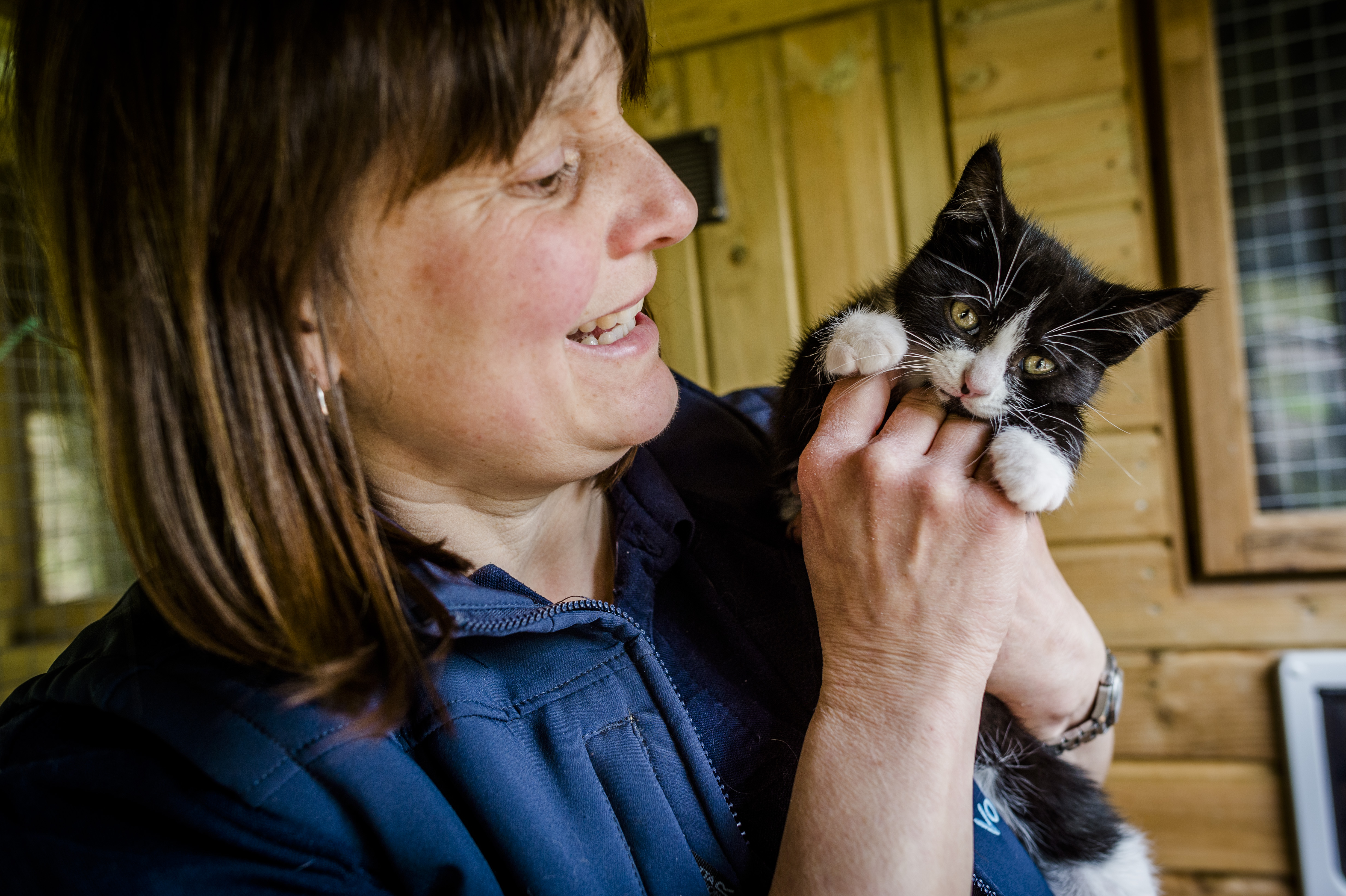 Rehoming Network Vol Wendy Penfold with a kitten