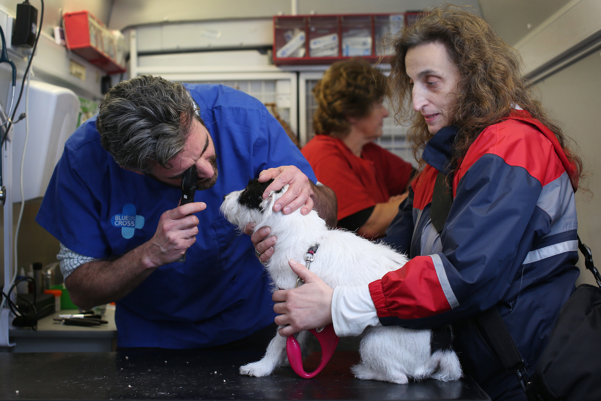 Blue Cross vet examines dog's eye