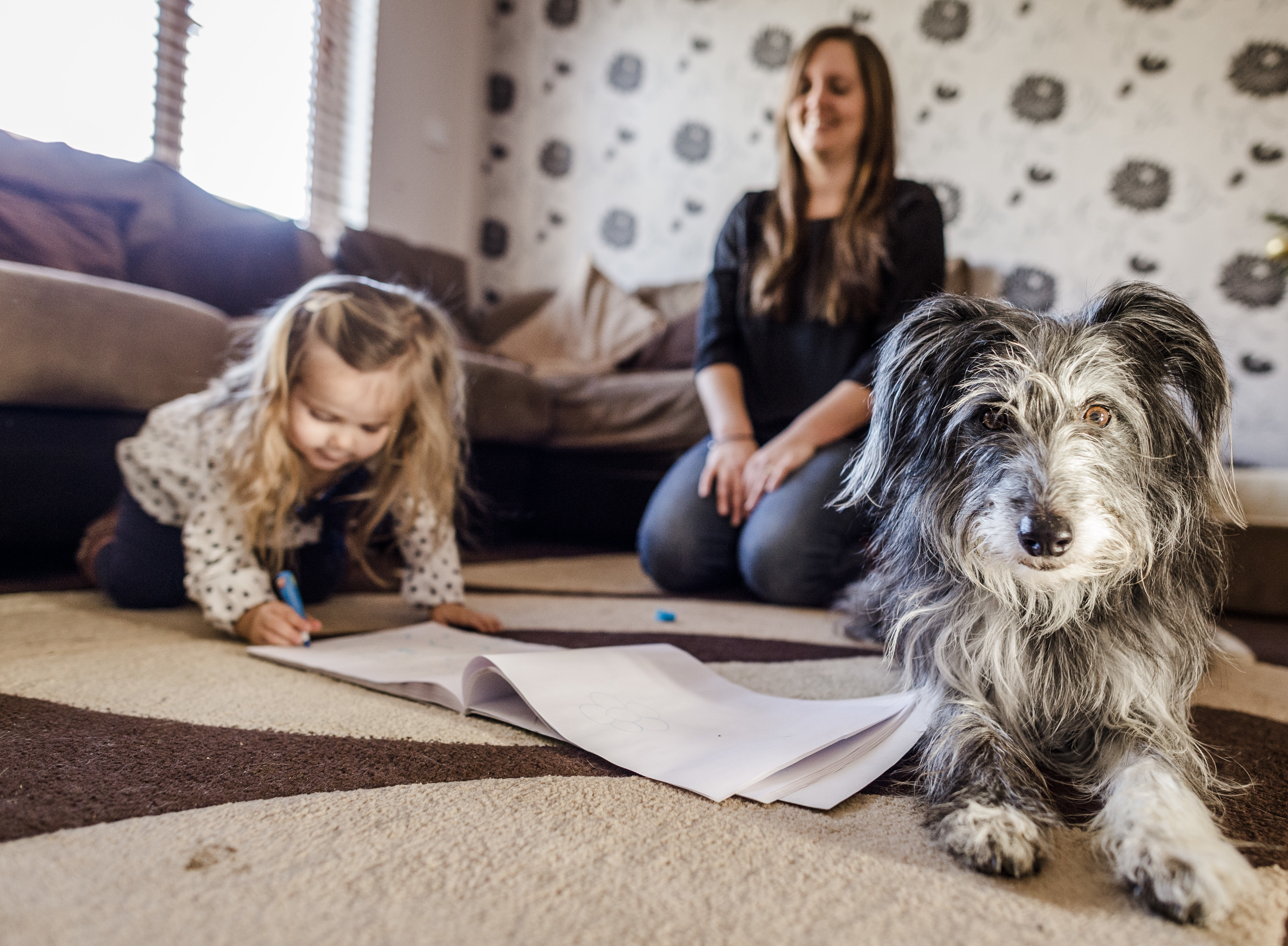 dog and visiting child - top image