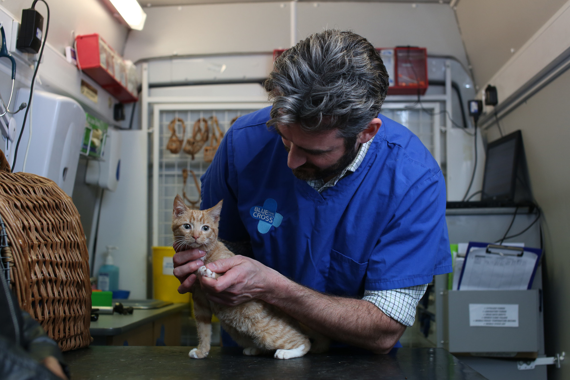 Kitten Ginger Biscuit at the Blue Cross mobile clinic in Islington