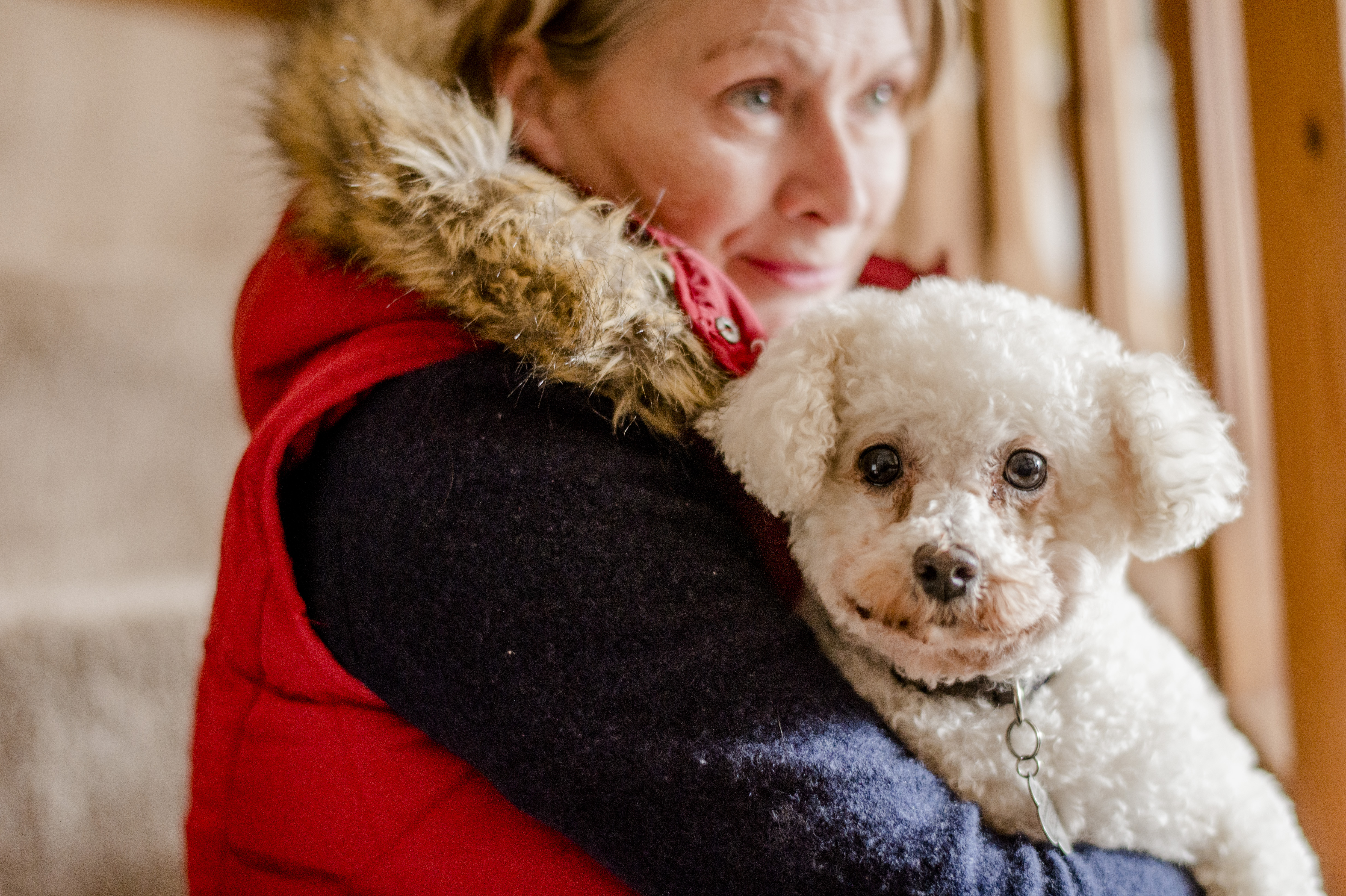 can a dog warden enter your property