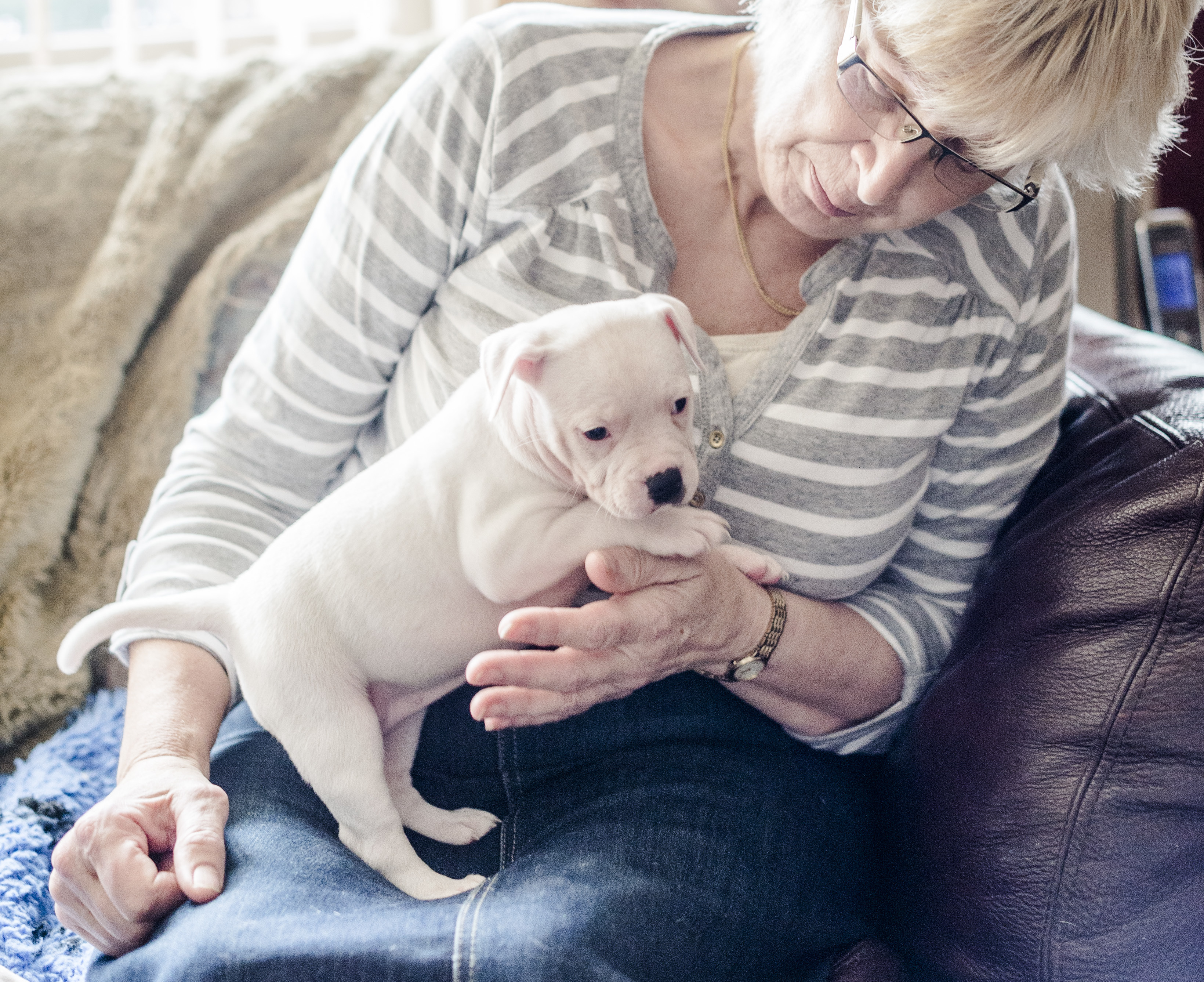 Socialising a puppy main image