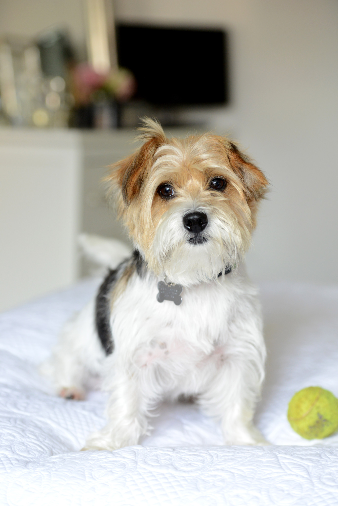 Tinkerbell with her ball