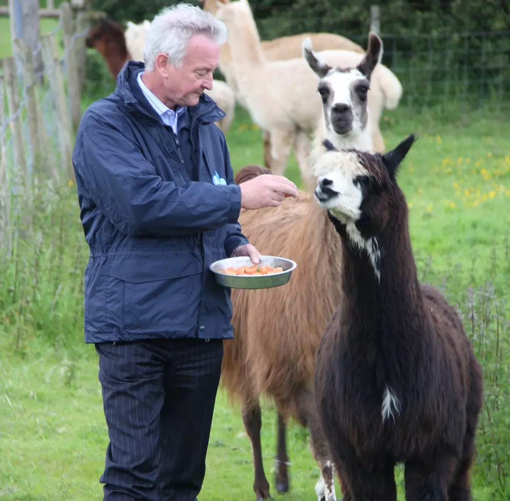 Steve feeding animals