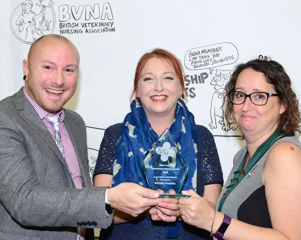 BVNA winner 2019