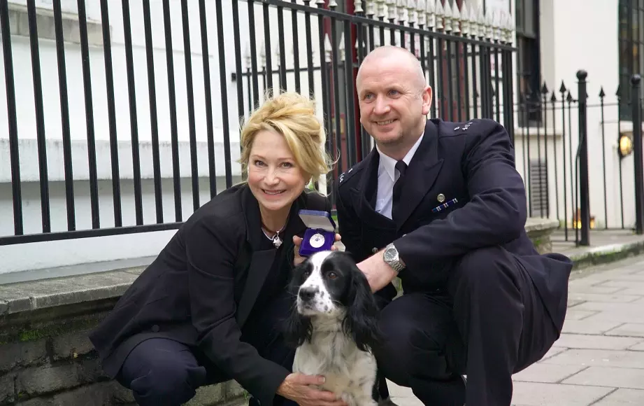 Dog receiving an award