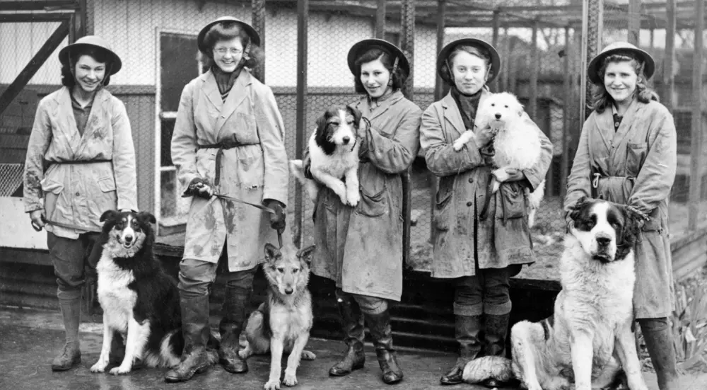 Black and white photo of five ladies and five dogs standing in front of dog kennels