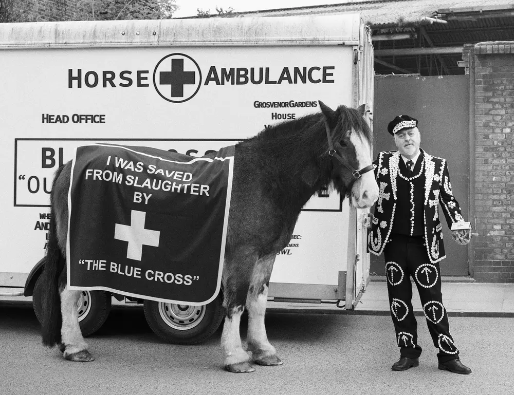 Comedian Bill Bailey recreates older photo of a horse and a Pearly King