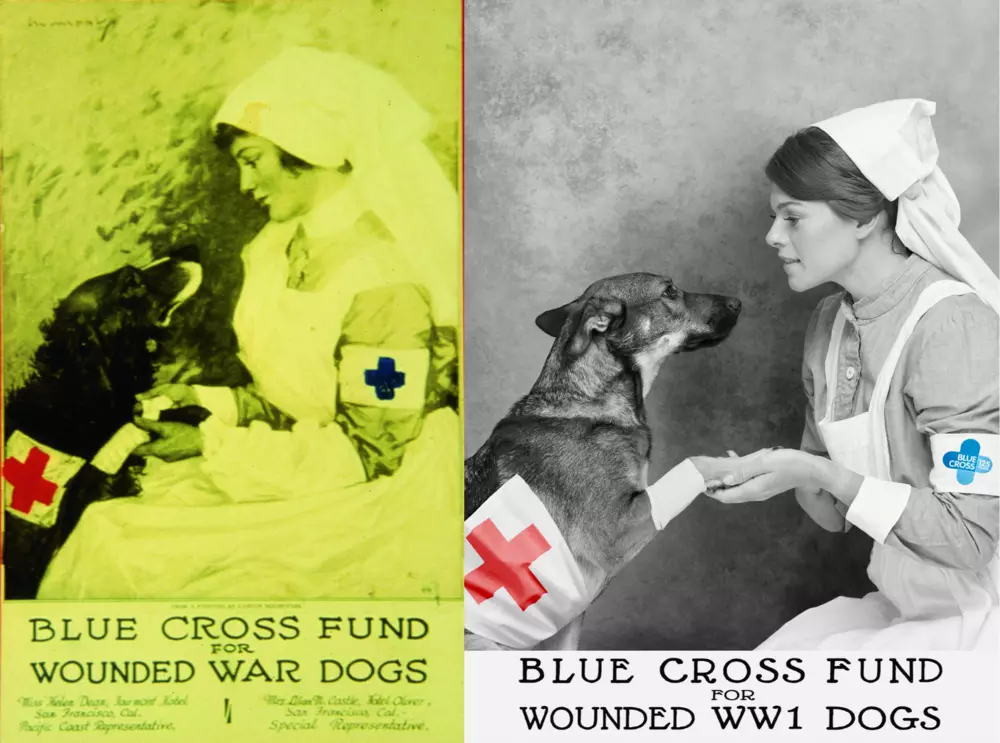An old image of a Blue Cross nurse looking at a dog in our care, with a recreated photo featuring Lauren Steadman MBE looking at a dog in the same pose