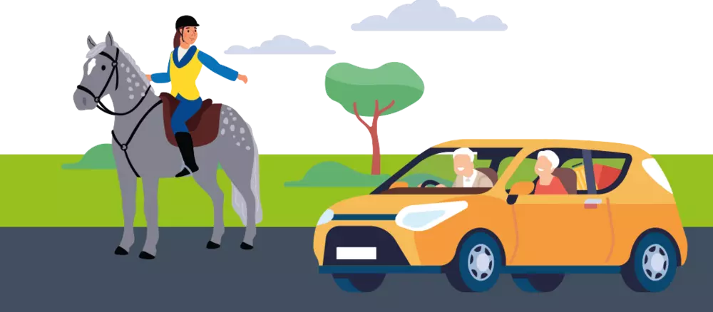 An illustrated graphic of a horse rider and an orange car. The horse rider is using hand signals to indicate their direction. The car has stopped to wait for the rider. 