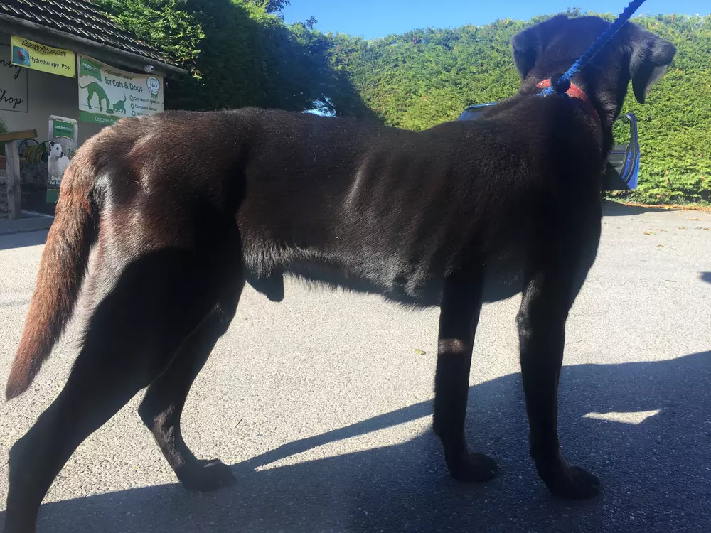 Jake when he first arrived at Blue Cross
