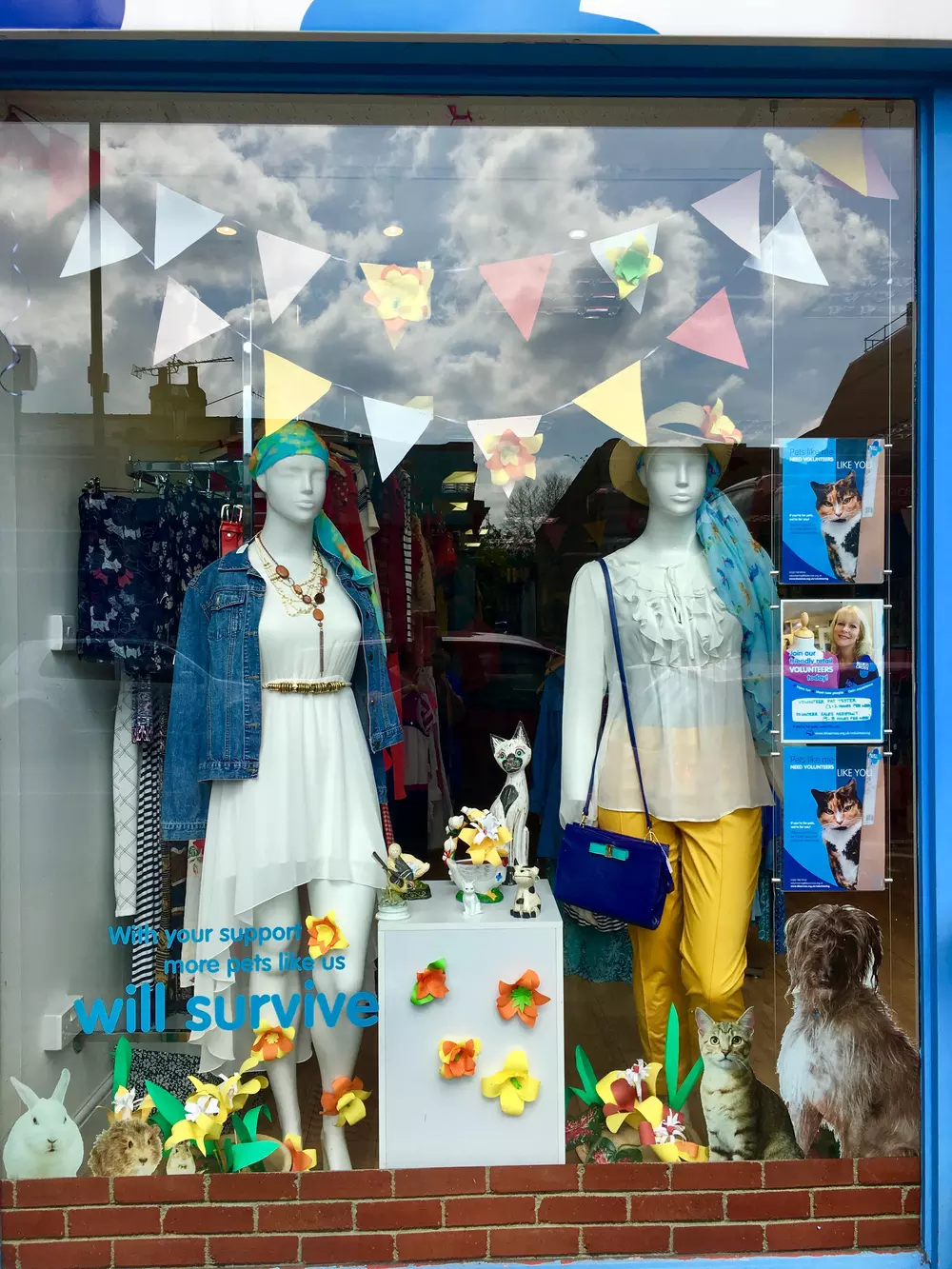 Teddington shop