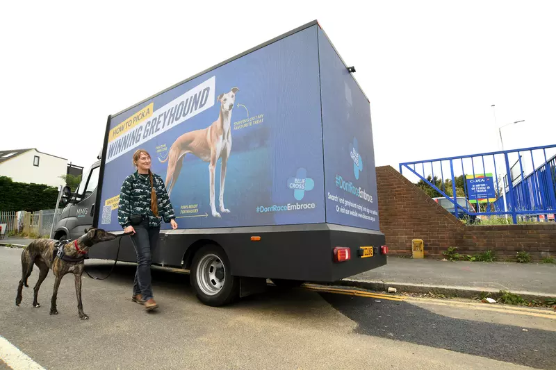 A greyhound and their owner walk by a 'How to pick a winning greyhound' advert.