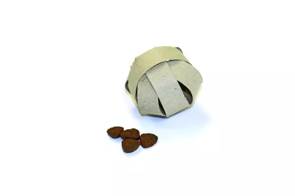 Complete puzzle ball for cats with treats on the side