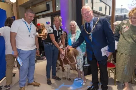 a pony surrounded by people