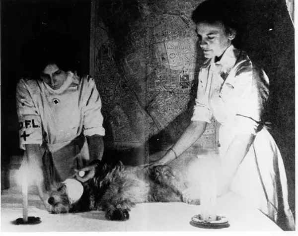 Two women treat a dog lying on a table with candles for light