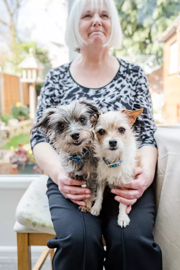 Dogs Moana and Tinkerbell sit on the lap of fosterer Christine. All three look very happy.