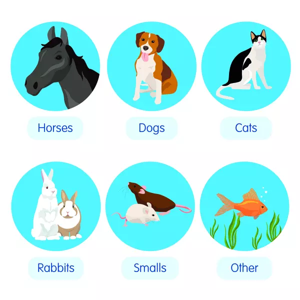 Illustration of a horse, dog, cat, rabbit, two mice and a goldfish