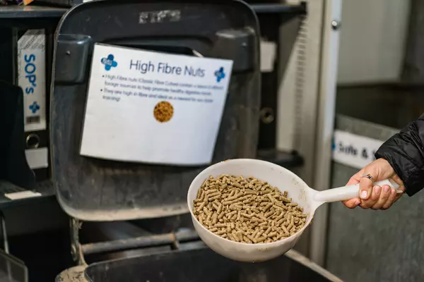 A scoop of high fibre pony nuts.