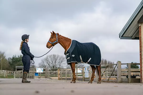 A large brown horse standing in a yard at a Blue Cross centre with his handler. The horse is a chestnut colour and he wears a blue rug.