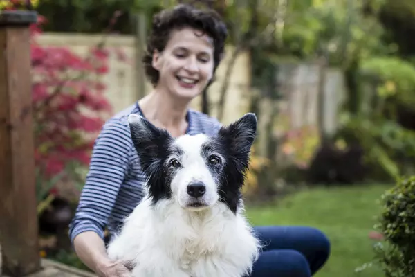 An elderly border collie dog sits in front of a smiling woman. She is stroking the dog's fur while they sit in a garden.