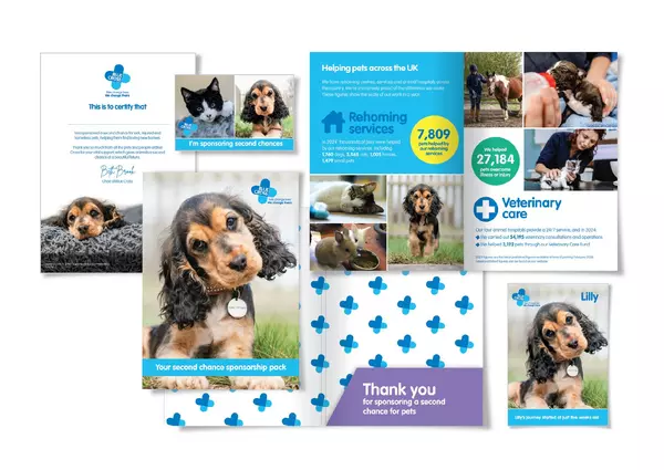Collage of printed materials from Blue Cross charity, featuring photos of puppies, kittens, rabbits, and horses. Items include a ‘Your second chance sponsorship pack,’ a thank-you card, a certificate, and information panels about rehoming services and veterinary care across the UK. The design uses Blue Cross branding in blue and white, with text highlighting the impact of sponsorship and images of animals receiving care and finding new homes.