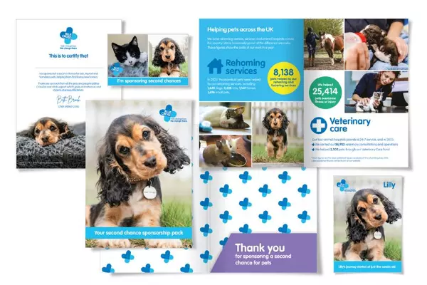 Collage of printed materials from Blue Cross charity, featuring photos of puppies, kittens, rabbits, and horses. Items include a ‘Your second chance sponsorship pack,’ a thank-you card, a certificate, and information panels about rehoming services and veterinary care across the UK. The design uses Blue Cross branding in blue and white, with text highlighting the impact of sponsorship and images of animals receiving care and finding new homes.