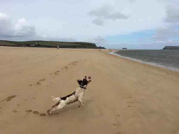 Billy at Harbour Cove