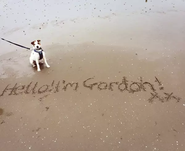 Gordon at Weston