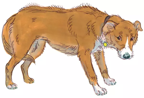 Drawing of a dog with her head bowed looking sideways at you to say she is unsure
