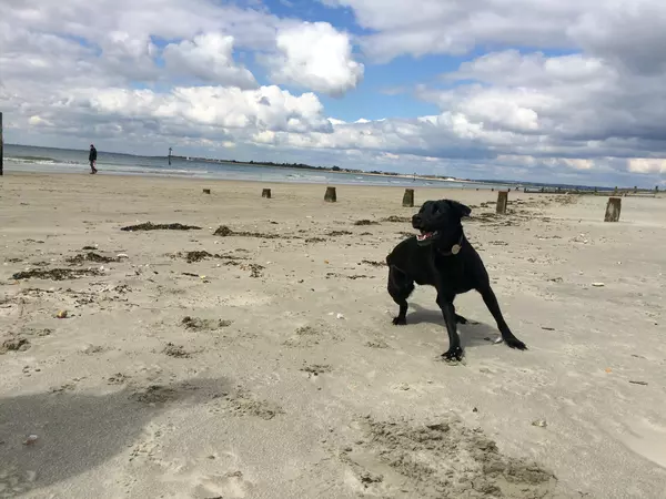 beach 2