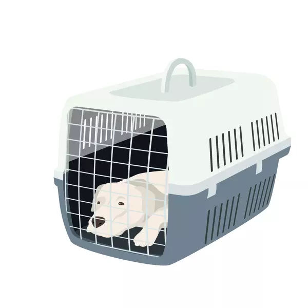 Illustration of a white dog lying down in a pet carrier