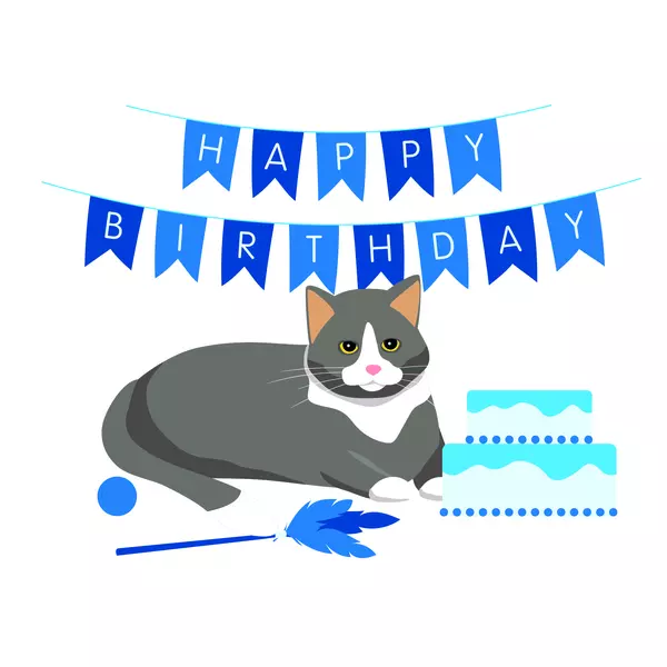 Illustration of a grey and white cat next to a happy birthday banner and a cake