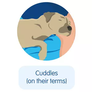 A light brown dog cuddled up by owners side