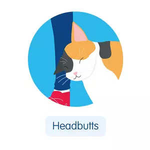 Tabby cat illustration with the cat headbutting the owners leg