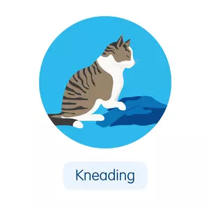Cat kneading a blanket
