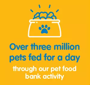 A yellow infographic with an icon of a pet food bowl and text. The text reads "Over three million pets fed for a day through our pet food bank activity".
